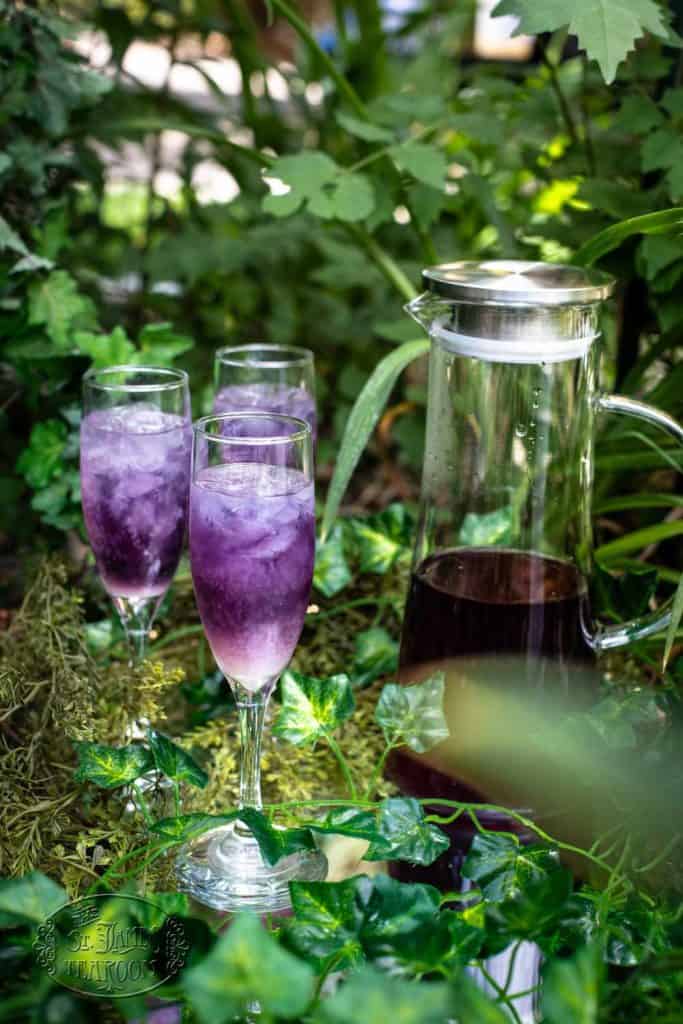 A glass pitcher and two tall glasses filled with purple iced drinks, crafted from a refreshing Iced Tea Recipe, sit among green plants and leaves in an outdoor garden setting.